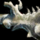 Bone Fragments of Tequatl.png