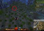 Carrot Collector 25 map.jpg