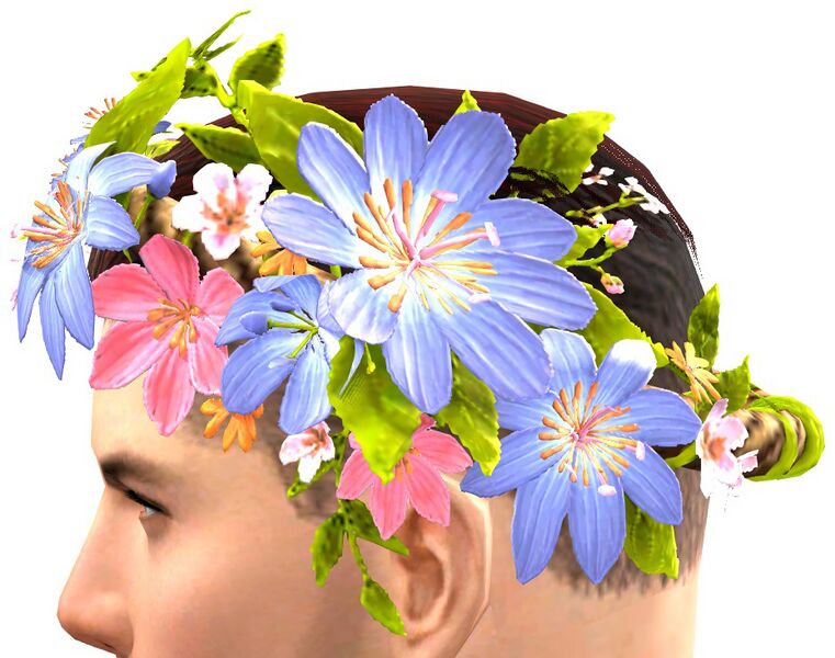 File:Flower Diadem left.jpg