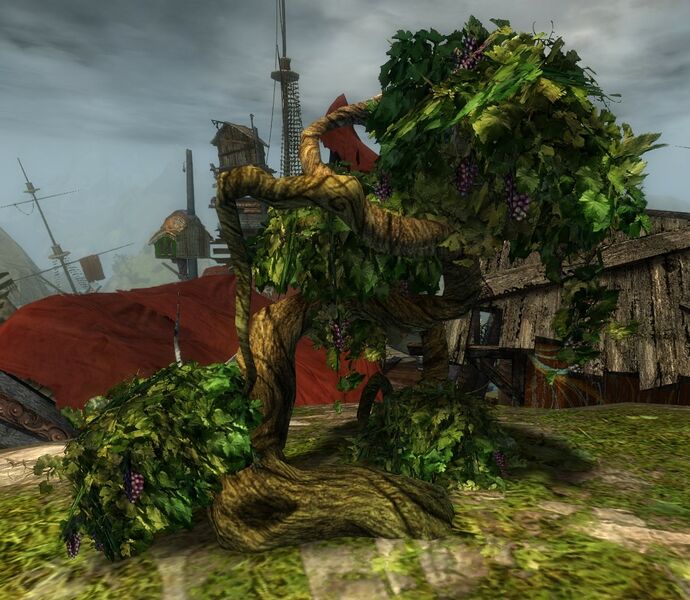 File:Grapes.jpg