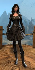 Appearance on light armor.