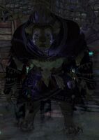 Hallucination (Nightmare Fractal Necromancer).jpg