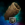 Lumber Synthesizer 4
