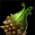 Magical Fruit.png