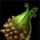 Magical Fruit.png