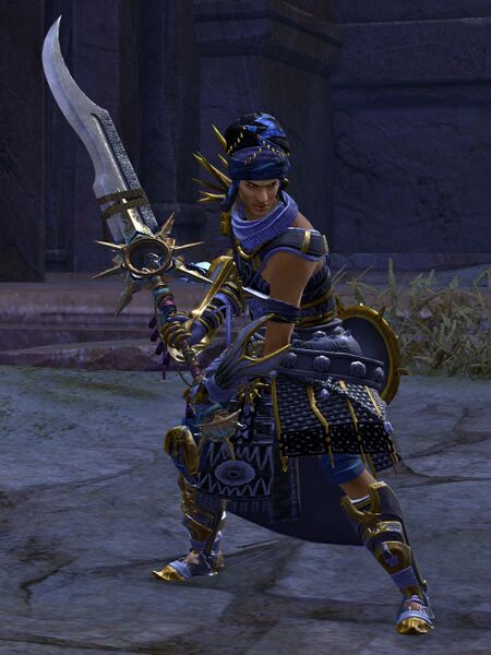 File:Sunspear heavy male 2 (combat).jpg