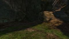 Tiger Tracks Leading to Caledon Forest.jpg