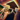 War Gliding Mastery.png