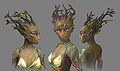 Whint series render.jpg