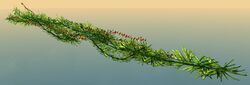 Wintersday Garland.jpg