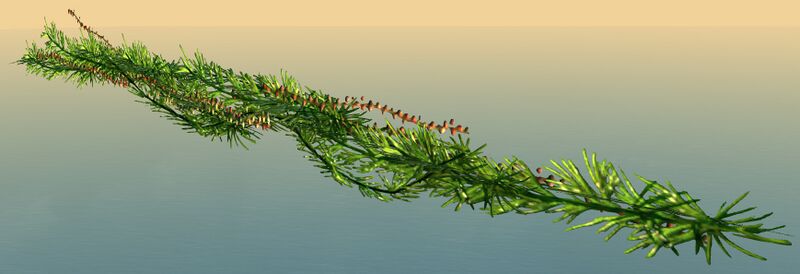 File:Wintersday Garland.jpg