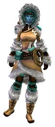 Arctic Explorer Outfit