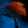Ascalonian Tree.png