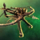 Decoration- Superior Ballista.png
