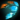Frostfire Glider.png