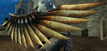 Golden Wing Shield wielded.jpg