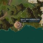 Illuminating Amnytas - 46 Nature's Shore Meditation Circle map.jpg