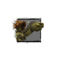 Thumbnail for version as of 19:52, 28 February 2022