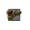 Juvenile Siege Turtle.png