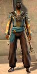 Lionguard human light 4.jpg