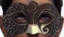 Mask of the Night.jpg
