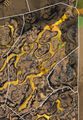 Thumbnail for version as of 18:49, 9 October 2017