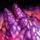 Powdered Rose Quartz.png