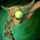 Auric Pistol.png