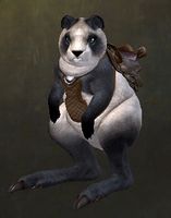 Caledon Short-Tail.jpg