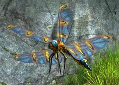 Dragonfly (NPC).jpg