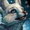 Mini Arctic Fox Kit.png