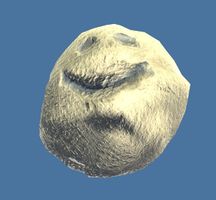 Mini Tiny Snowball.jpg