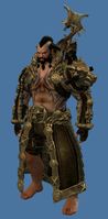 Mini Wolfborn Shaman.jpg