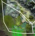 Thumbnail for version as of 19:56, 9 April 2022