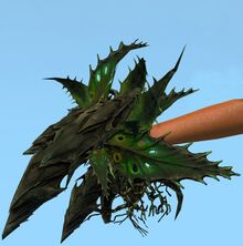 Nightmare Corsage.jpg