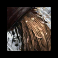 Thumbnail for version as of 08:19, 10 May 2013
