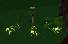 Snake attack.jpg
