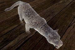 Snow Leopard Spirit (Personal story).jpg