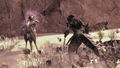 SoT screenshot 8.jpg