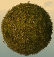 Sphere Topiary.jpg