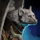 Wolf Totem (decoration).png