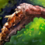 Transmuted Molten Alliance Mining Pick (Bone Pick Skin)