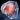 Crystallized Suet