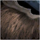 Frayed Rag.png