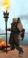 Kodan female 1 (Flamebearer).jpg