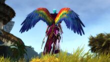 Macaw Wings Glider Combo promo.jpg