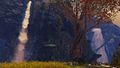 Thumbnail for version as of 22:22, 20 November 2016