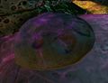 Thumbnail for version as of 20:24, 29 October 2020