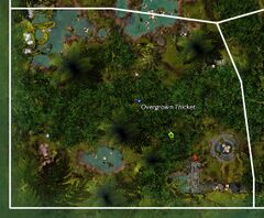 Overgrown Thicket map.jpg