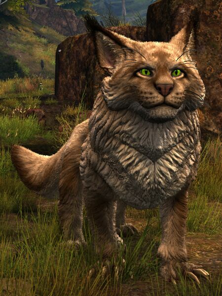 File:Warclaw (beige).jpg